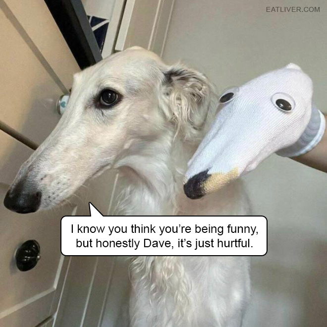 I know you think you’re being funny, but honestly Dave, it’s just hurtful.